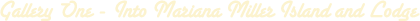 gallery_one