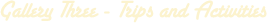 gallery_three